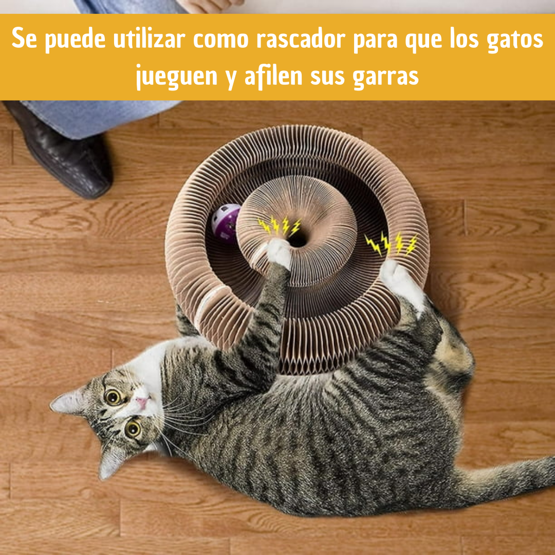BRILIN®️ - Rascador para Gatos 3 en 1