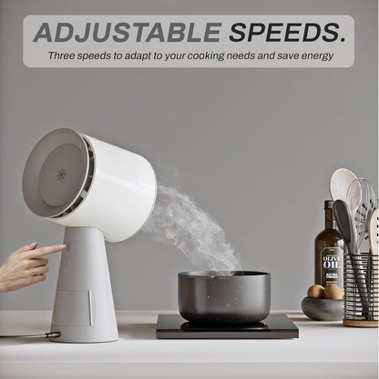 CAMPANA EXTRACTORA DE OLOR PORTATIL